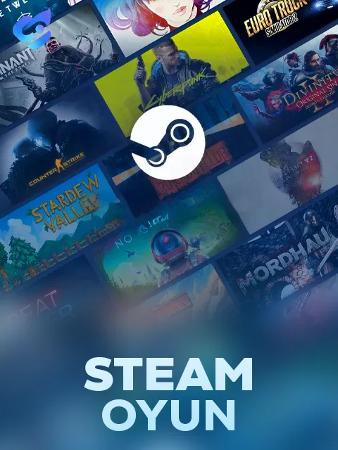 Steam Oyun