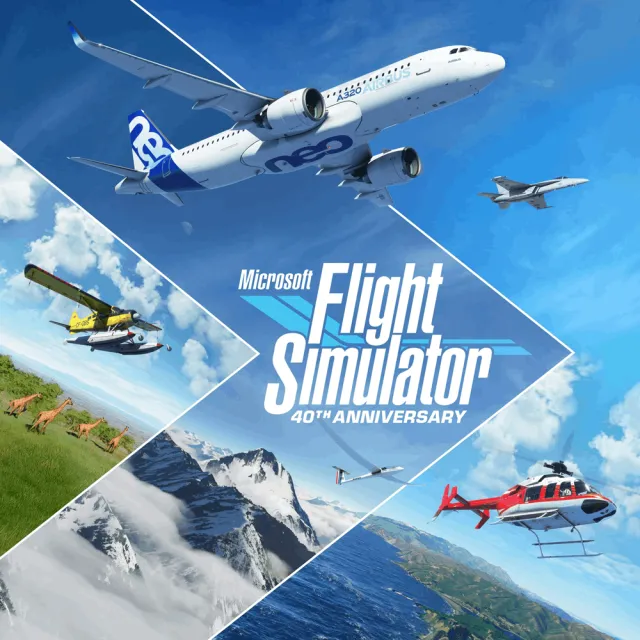 Microsoft Flight Simulator