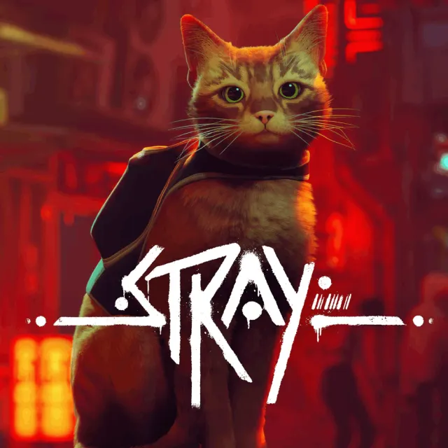 Stray